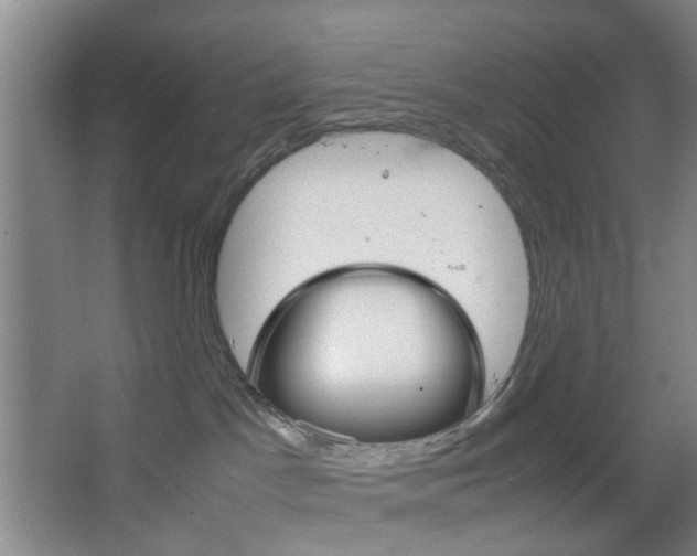 X0000067500045200604071034