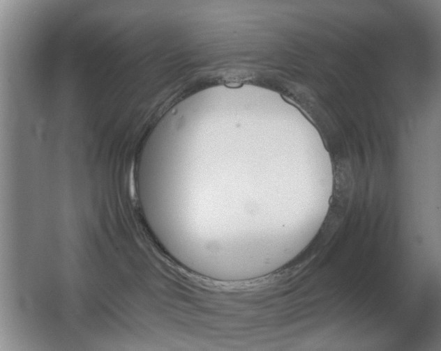 X0000067500046200604071034