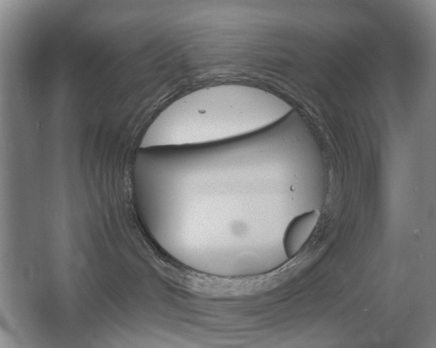 X0000067500048200604071034