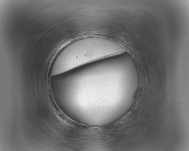 X0000067500050200604071033