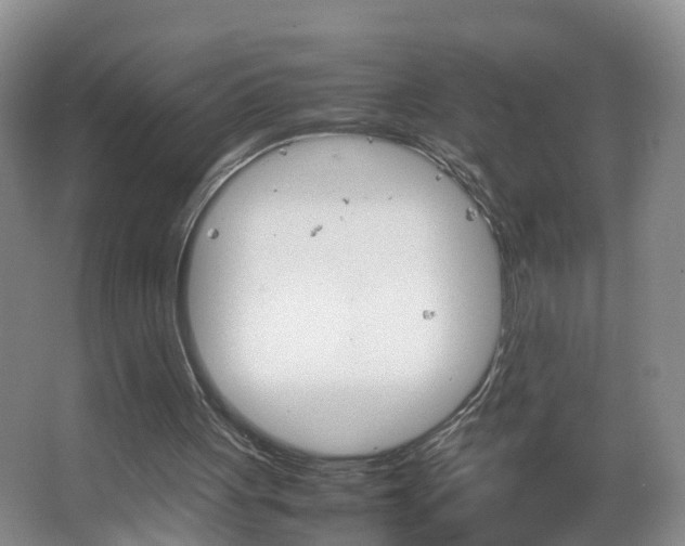 X0000067500051200604071033