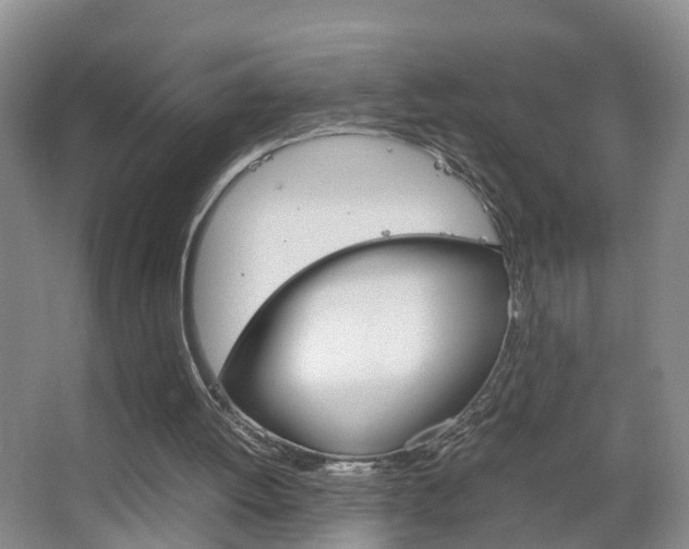 X0000067500052200604071033