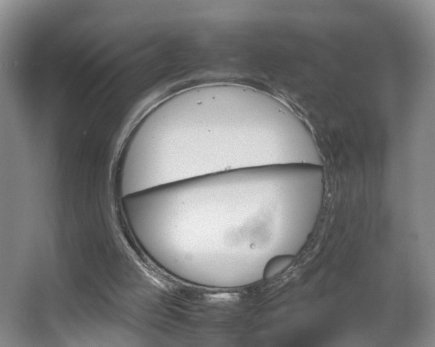 X0000067500053200604071033