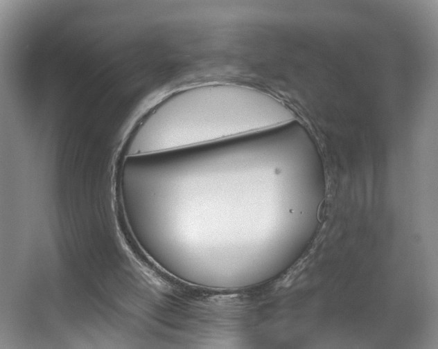 X0000067500054200604071033