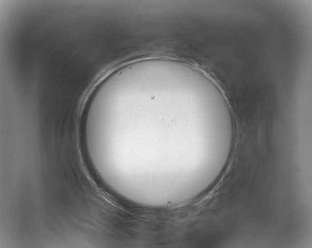 X0000067500055200604071033