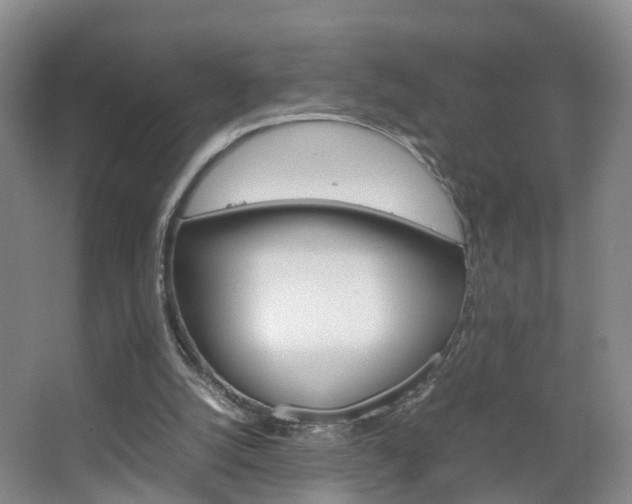 X0000067500056200604071033