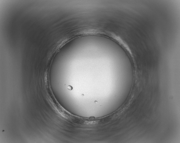 X0000067500057200604071033