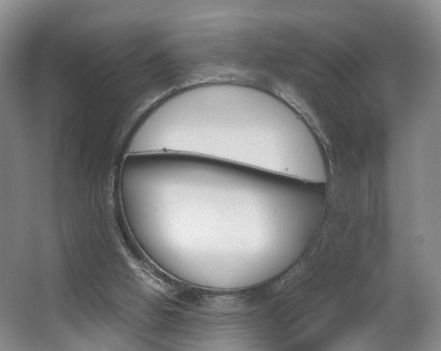 X0000067500058200604071033