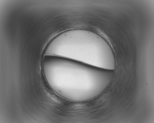 X0000067500059200604071033