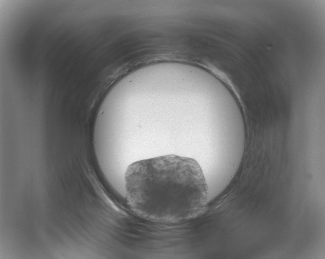 X0000067500061200604071034