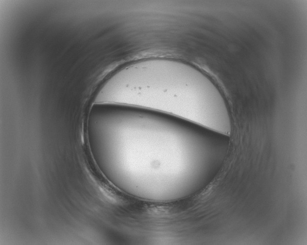 X0000067500062200604071034