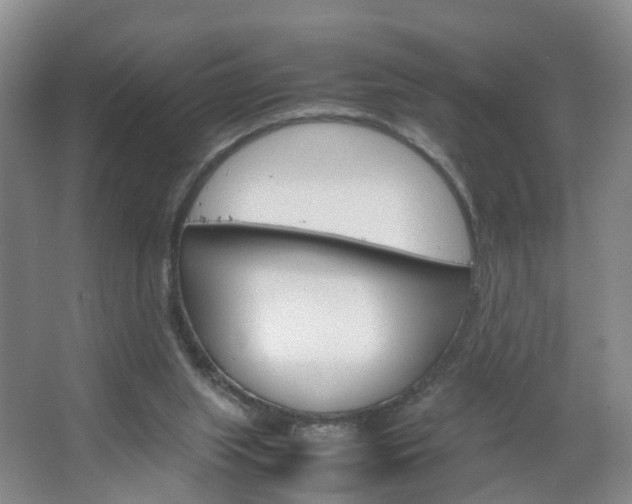 X0000067500063200604071034