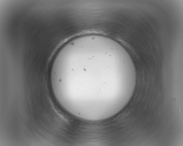 X0000067500064200604071034