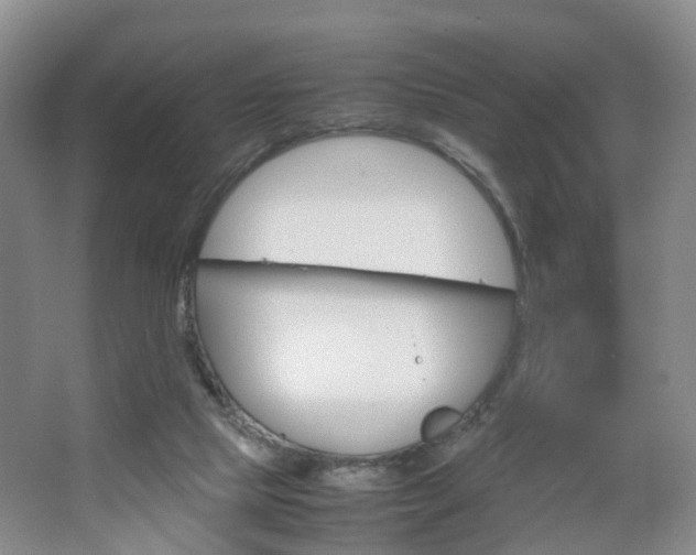 X0000067500065200604071034