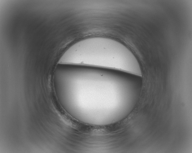 X0000067500066200604071034