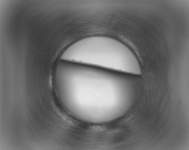 X0000067500067200604071034