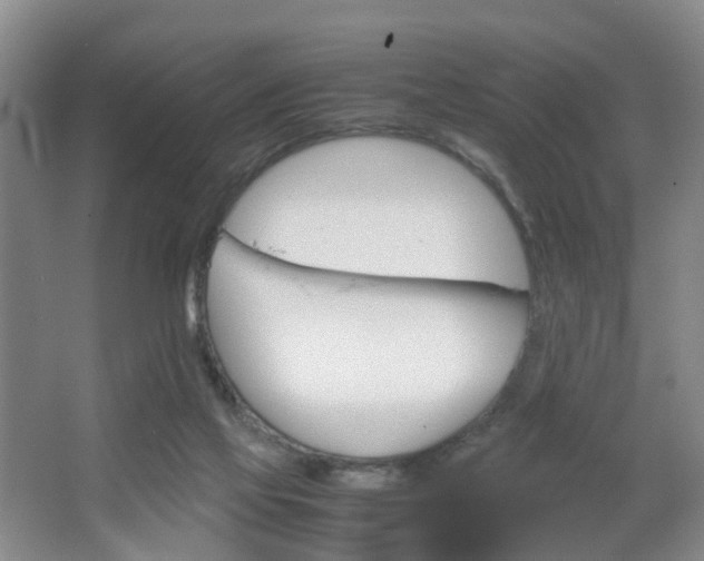 X0000067500069200604071034