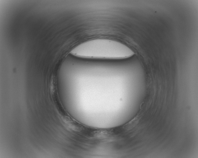 X0000067500074200604071034