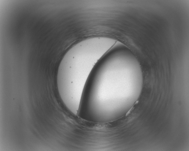 X0000067500076200604071034