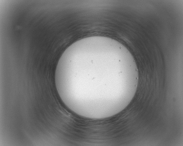 X0000067500077200604071034