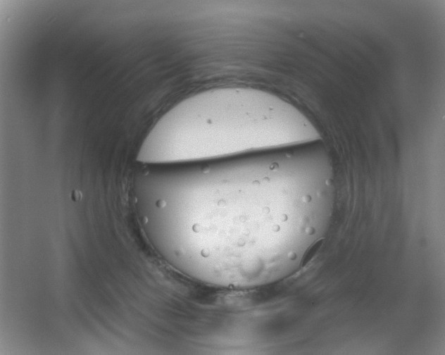 X0000067500078200604071034