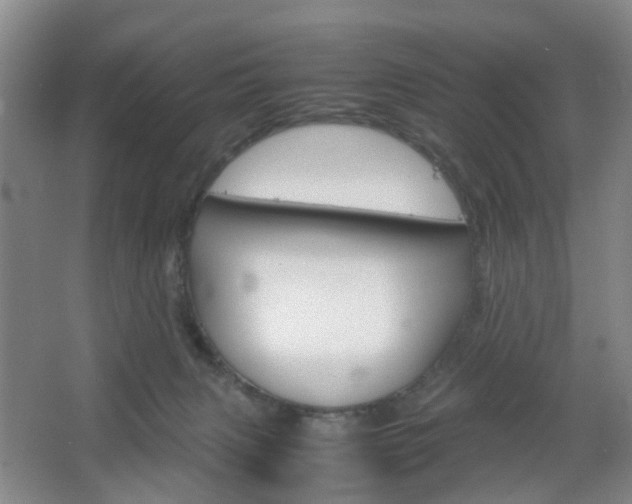 X0000067500079200604071034