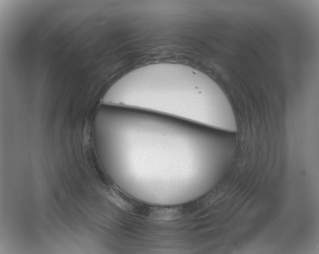 X0000067500081200604071034