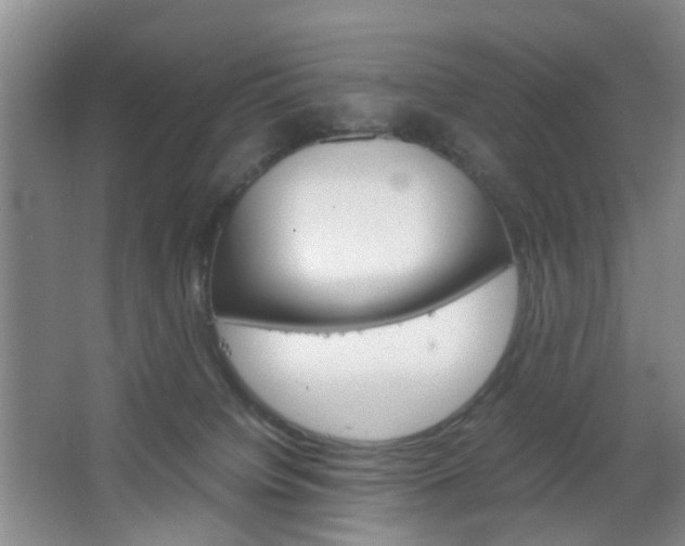 X0000067500084200604071034