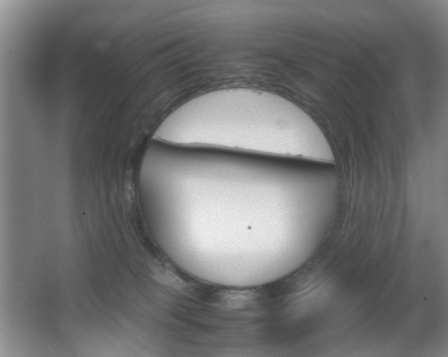 X0000067500085200604071034