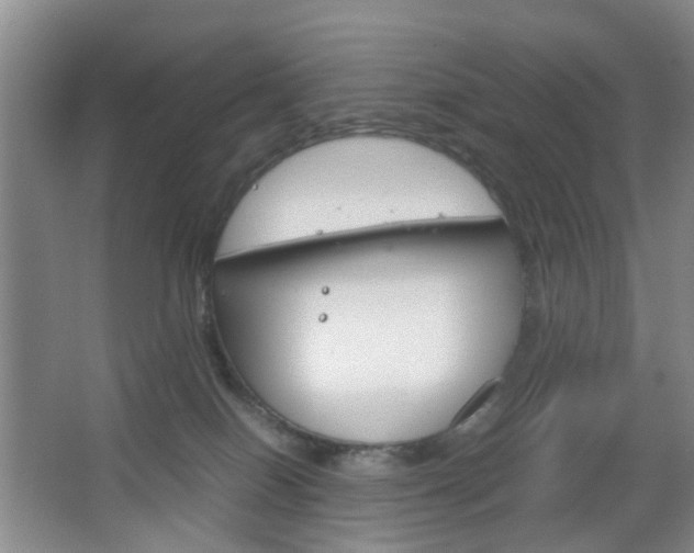 X0000067500086200604071034