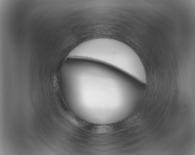 X0000067500087200604071034