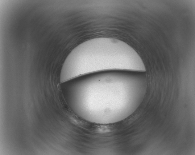 X0000067500091200604071034