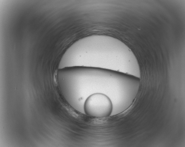 X0000067500094200604071034