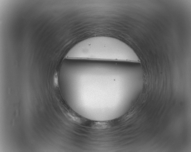 X0000067500095200604071034