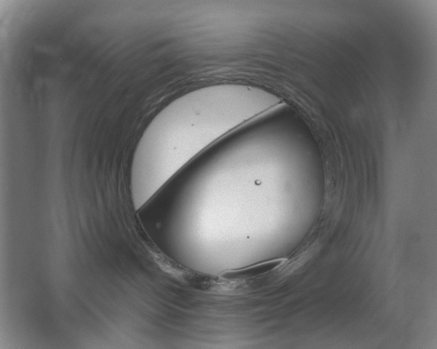 X0000067500096200604071034