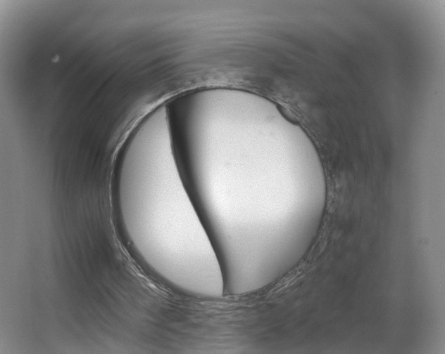 X0000067500098200604071033