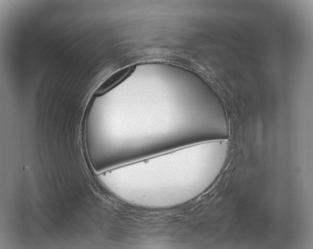 X0000067500099200604071033