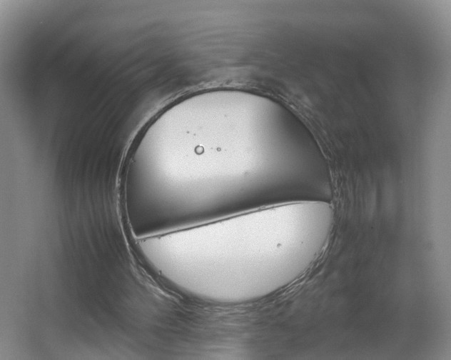 X0000067500100200604071033