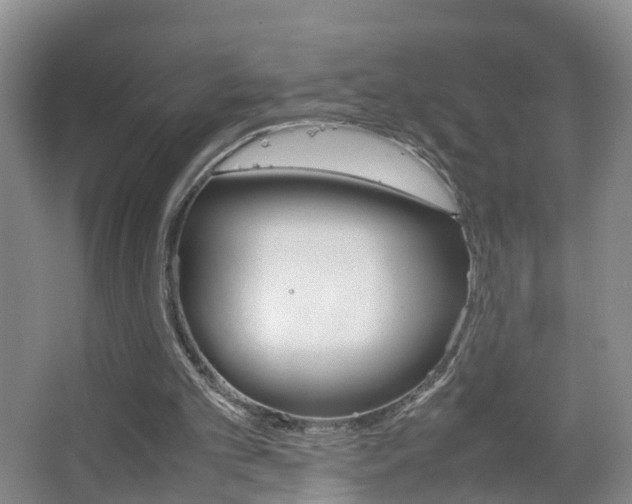 X0000067500101200604071033