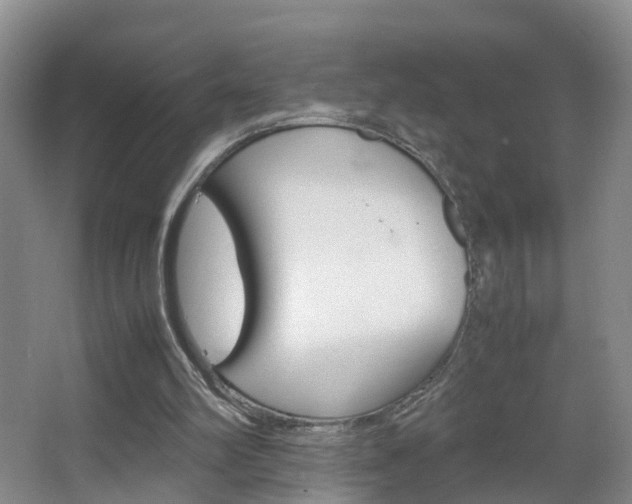 X0000067500102200604071033