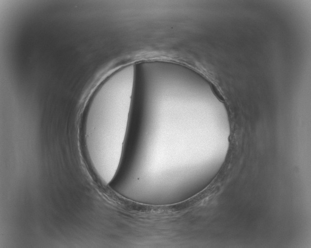 X0000067500103200604071033