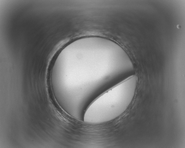 X0000067500104200604071033