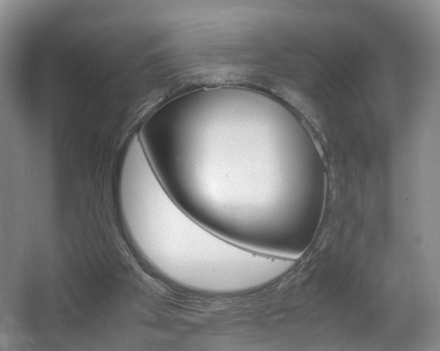 X0000067500105200604071033