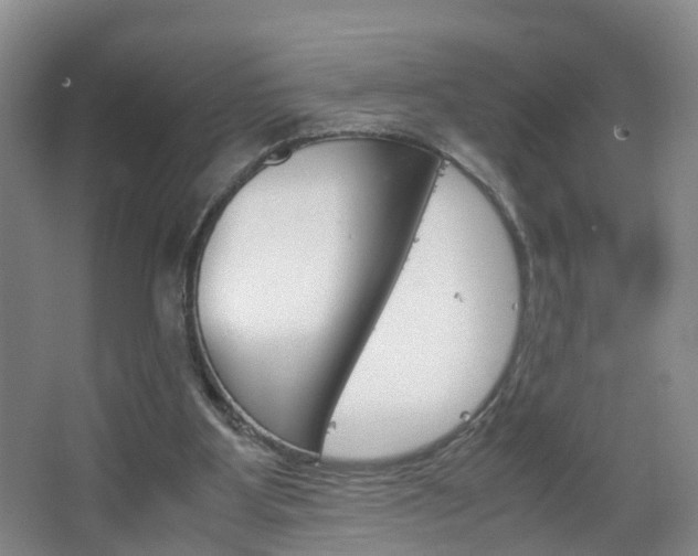 X0000067500107200604071033