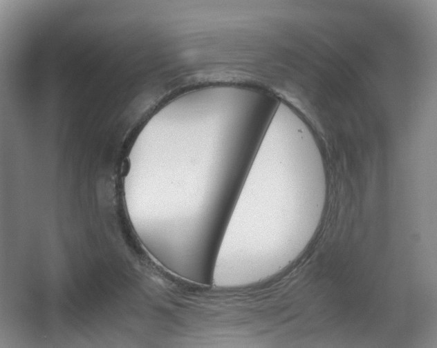 X0000067500111200604071033