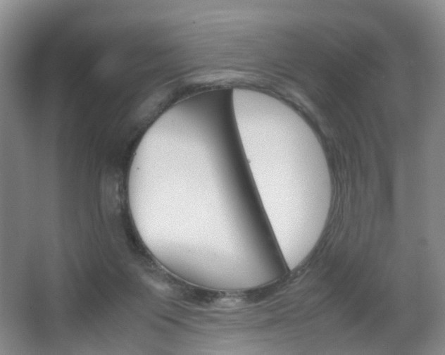 X0000067500119200604071033