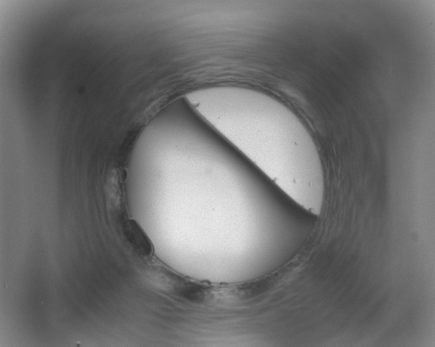 X0000067500121200604071033