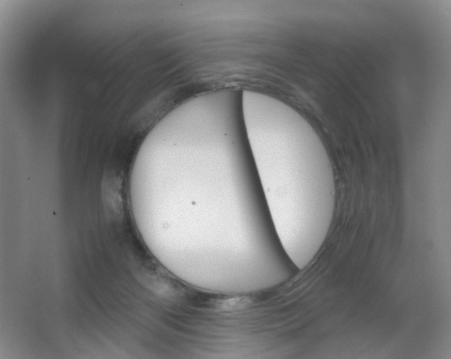 X0000067500122200604071033