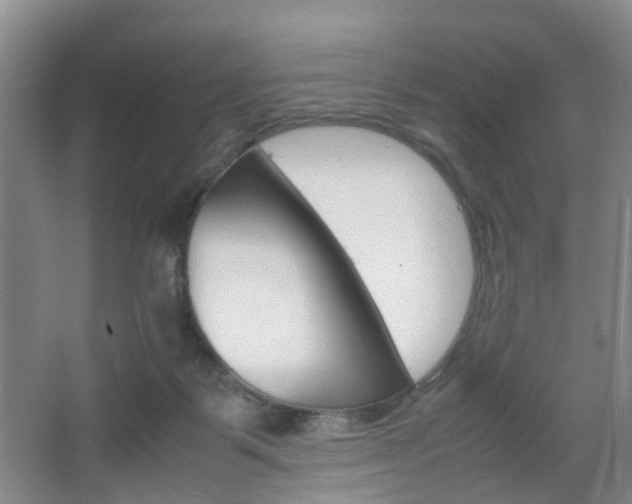 X0000067500123200604071033