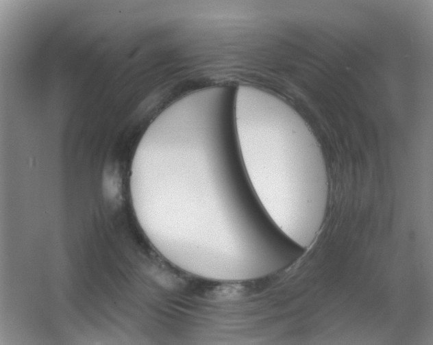 X0000067500124200604071033